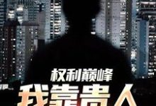 权利巅峰:我靠贵人逆袭高管!完整版小说,权利巅峰:我靠贵人逆袭高管!免费阅读-有书评
