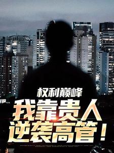 权利巅峰：我靠贵人逆袭高管！完整版小说，权利巅峰：我靠贵人逆袭高管！免费阅读