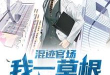 求混迹官场:我一草根平步青云小说的全文免费阅读链接-有书评