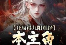 寻找开局得九阳真经，本主角全程无敌！小说的最新更新章节-有书评