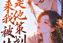 鱼归晚云澈小说勾心:原来我被休是他策划的完整版阅读-有书评