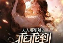 东南亚大佬疯狂强制爱最新章节，东南亚大佬疯狂强制爱免费阅读-有书评