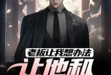 老板让我想办法,让他和老婆离婚秦羽小说在线章节目录阅读最新章节-有书评