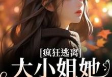 沈京瓷霍骁完整版《疯狂逃离!大小姐她不做备选》小说免费阅读-有书评