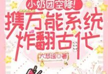 在线免费阅读小奶团空降！携万能系统炸翻古代完整小说-有书评