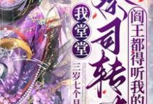 完结版《我堂堂祭司转世,阎王都得听我的》章节阅读-有书评