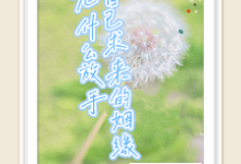 《自己求来的姻缘,凭什么放手》全集免费在线阅读(季雪儿郁北川)-有书评