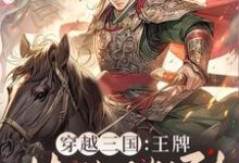 赵兴小说穿越三国：王牌特种兵驾到！在线阅读章节-有书评