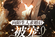 完结版《向陌生人求婚后,被宠上了天》章节阅读-有书评