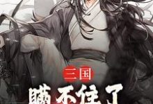 三国:瞒不住了,我,孔明再世(诸葛亮)完整版在线免费阅读-有书评