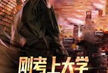 陆离小说完结版在线阅读，刚考上大学，我被选上了修仙免费看-有书评