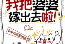 一品官媒：我把婆婆嫁出去啦！小说无弹窗阅读的网站推荐-有书评