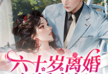 六十岁离婚闪婚豪门!父子火葬场林娟郝向东小说免费阅读-有书评