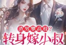 渣男攀高枝？转身嫁小叔被宠哭楚翘贺津南小说完结版章节在线阅读-有书评