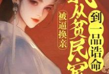被逼换亲，我从贫民窟到一品诰命完整版小说，被逼换亲，我从贫民窟到一品诰命免费阅读-有书评