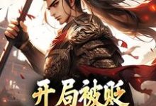 已完结小说《开局被贬,我要掠夺江山》在线章节阅读-有书评