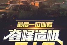 最后一位仙者，登峰造极五十年小说阅读，最后一位仙者，登峰造极五十年完结版-有书评