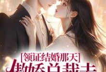 领证结婚那天,傲娇总裁去陪白月光了完整版小说免费阅读,领证结婚那天,傲娇总裁去陪白月光了小说-有书评
