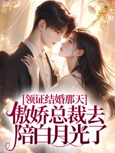 领证结婚那天，傲娇总裁去陪白月光了完整版小说免费阅读，领证结婚那天，傲娇总裁去陪白月光了小说