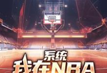 完结版《系统：我在NBA把把都超神》章节阅读-有书评