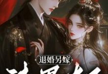 寻找能够免费阅读退婚另嫁，渣男太子怎么跪了小说的平台-有书评