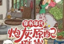《穿书年代，炮灰原配携崽随军去啦》安婳肖政完整版小说免费阅读-有书评