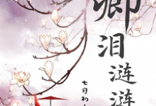 卿泪涟涟拾夕墨云殇小说完结版章节在线阅读-有书评