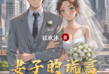 妻子的谎言番外篇小说有没有完结版在线?-有书评