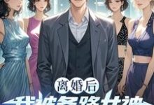 完结版《离婚后我被各路女神撩疯了!》章节阅读-有书评