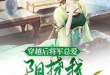 穿越后将军总爱阻挠我发家致富小说的无弹窗阅读体验,寻找免费阅读网站-有书评