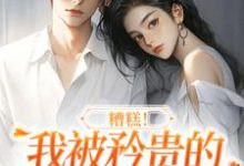 糟糕!我被矜贵的大小姐缠上了免费阅读,糟糕!我被矜贵的大小姐缠上了章节在线阅读-有书评