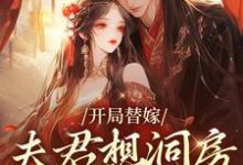 开局替嫁，夫君想洞房先交一千两免费阅读，开局替嫁，夫君想洞房先交一千两章节在线阅读-有书评