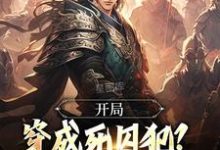 萧文进小说免费阅读完整版-有书评