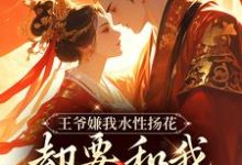 小说《王爷嫌我水性扬花,却要和我假成婚》完整版章节免费阅读-有书评