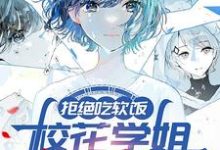 拒绝吃软饭，校花学姐气哭了小说有没有完结版在线？-有书评