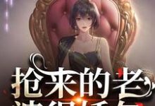 完结版《抢来的老婆很娇气,糙汉低哄诱宠》免费阅读-有书评