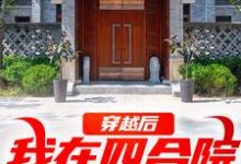 《穿越后，我在四合院称霸天下》全集免费在线阅读（何雨柱）-有书评