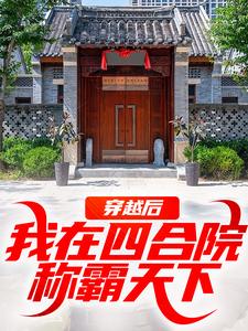 《穿越后，我在四合院称霸天下》全集免费在线阅读（何雨柱）