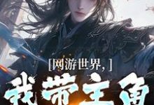 网游世界,我带主角勇夺MVP完整版小说免费阅读,网游世界,我带主角勇夺MVP小说-有书评