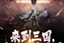 哪里可以免费找到来到三国,这乱世我来平?-有书评