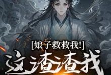 娘子救救我！这渣渣我虐不完章节免费在线阅读，司寻完结版-有书评