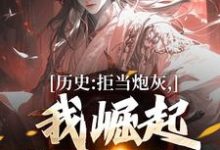 历史：拒当炮灰，我崛起收复河山王克张煌言小说完结版章节在线阅读-有书评