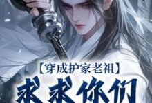 穿成护家老祖,求求你们积点德吧小说有没有完整的免费版本在线阅读?-有书评