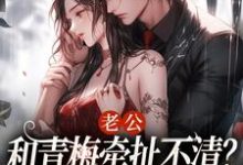 老公和青梅牵扯不清?我放你自由!温时晞傅九亊,老公和青梅牵扯不清?我放你自由!完整版最新章节-有书评