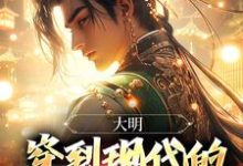 《大明:穿到现代的朱元璋玩疯了》小说章节列表免费试读,朱雄英小说在线阅读-有书评