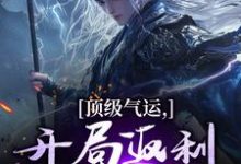 完结版《顶级气运,开局返利助我登仙》章节阅读-有书评