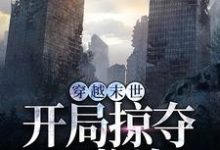 《穿越末世,开局掠夺S 物资》林寻完整版小说免费阅读-有书评