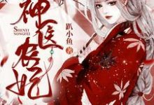 《神医农妃》小说免费阅读完整版-有书评