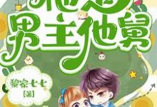 宋青苗韩遇小说在线章节免费阅读(七零军婚:搞错啦,他是男主他舅无弹窗无删减)-有书评