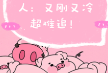 完结版《程队要追的男人:又刚又冷超难追》章节目录在线阅读-有书评